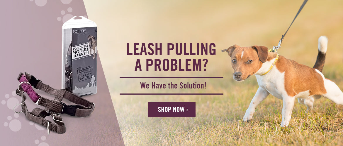 Leash pulling a problem? We have the solution! Shop now.