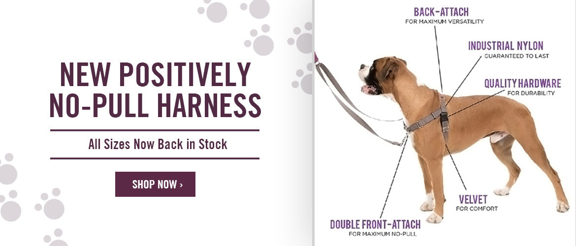 New Positively no-pull harness. All sizes now back in stock. Shop now.