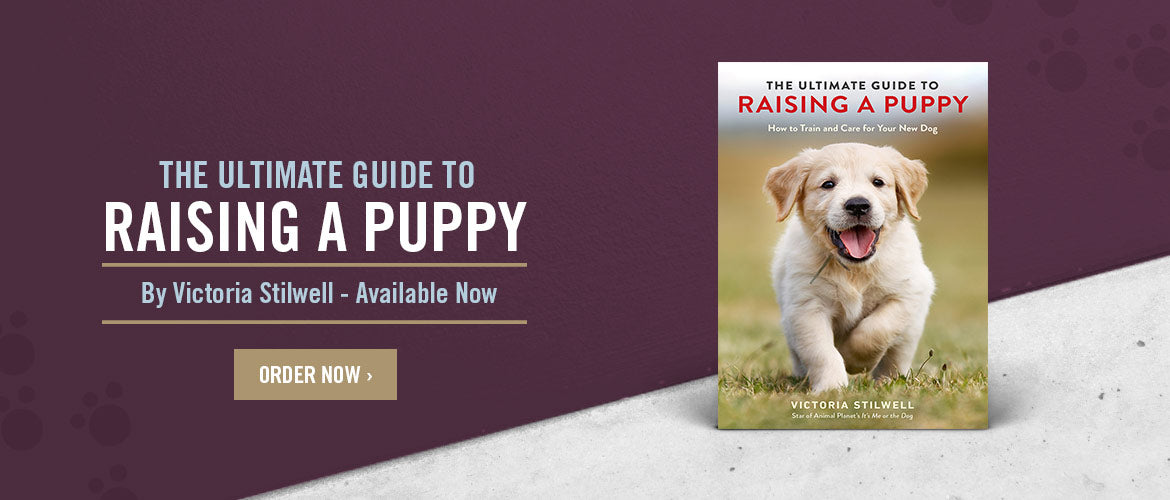 The ultimate guide to raising a puppy, by Victoria Stilwell. Available now.