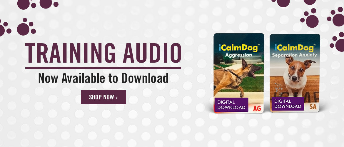 Training audio, now available to download. Shop now.
