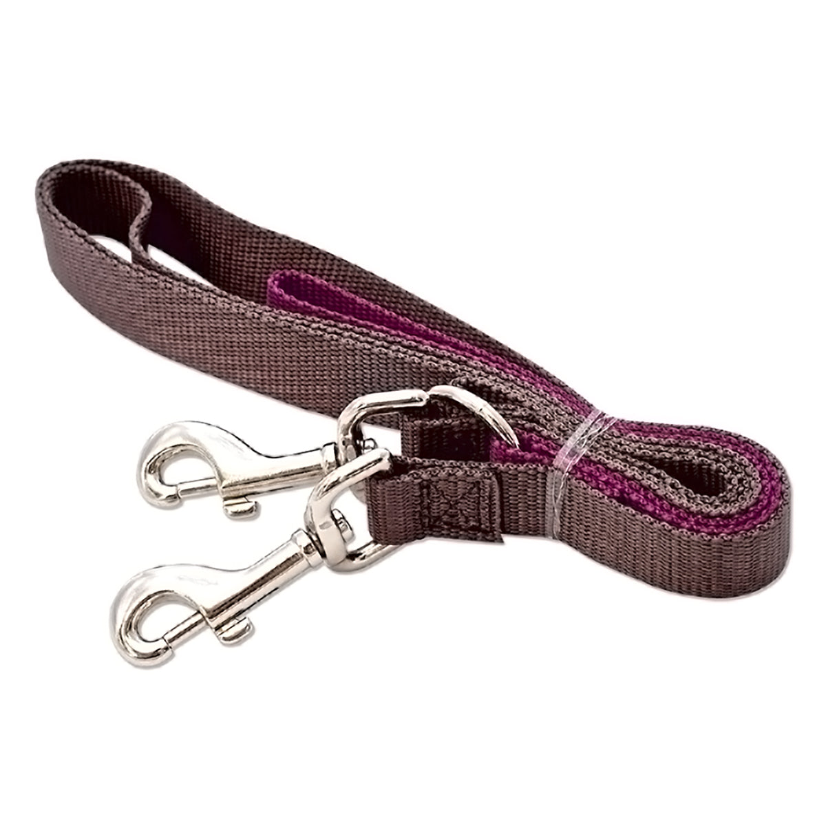 Positively Double-Connection Training Leash - Grey