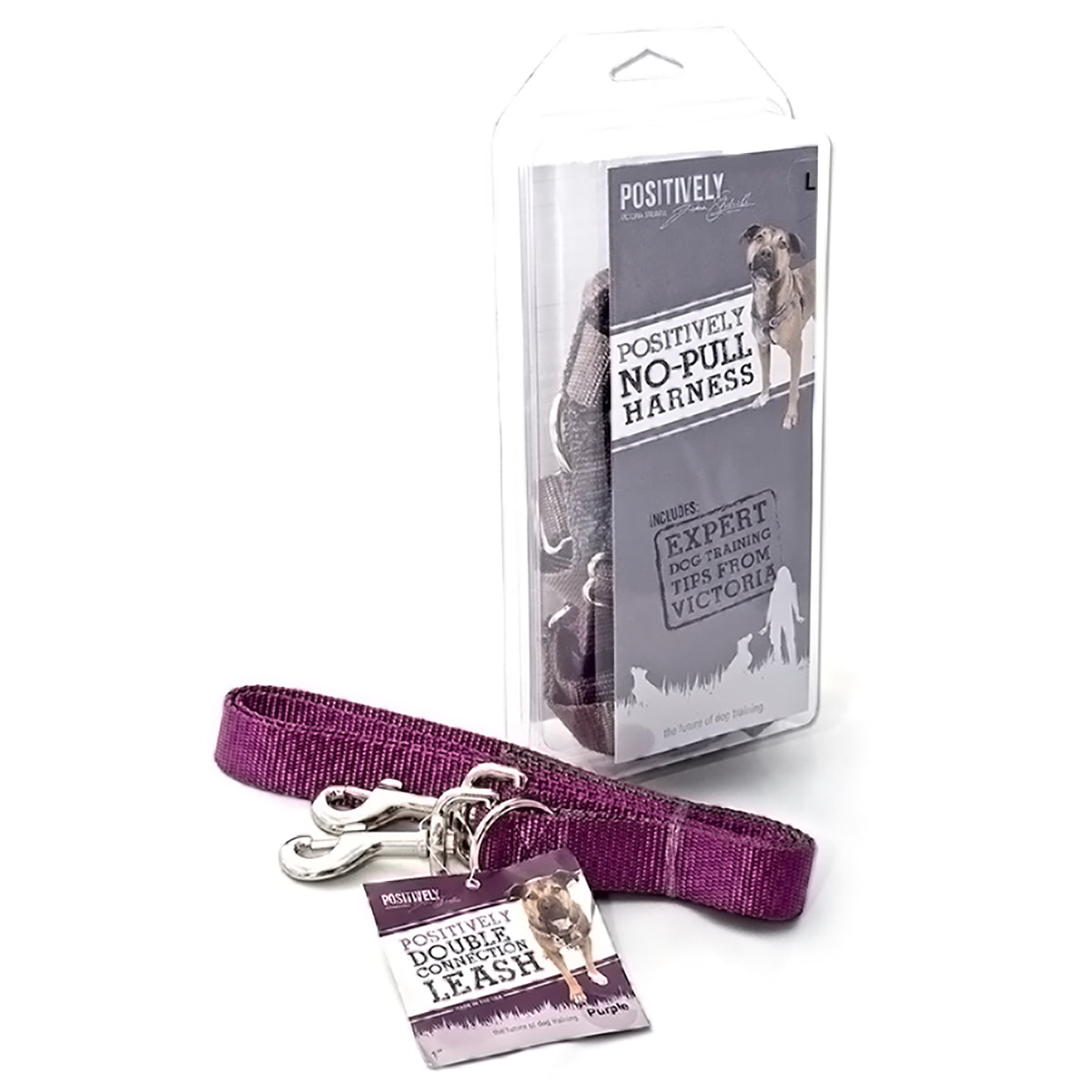 Positively Double-Connection Training Leash - Purple
