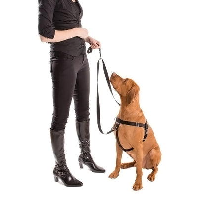Positively Double-Connection Training Leash - Grey
