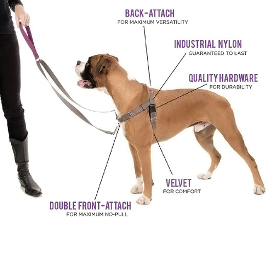 Positively No-Pull Harness