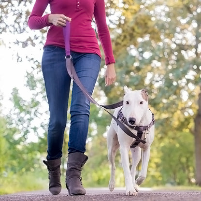 Positively No-Pull Harness