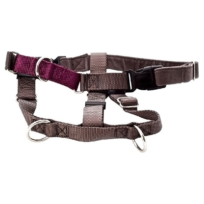 Positively No-Pull Harness