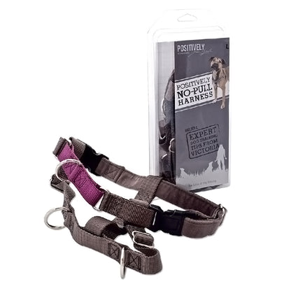 Positively No-Pull Harness