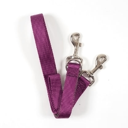 Positively Double-Connection Training Leash - Purple