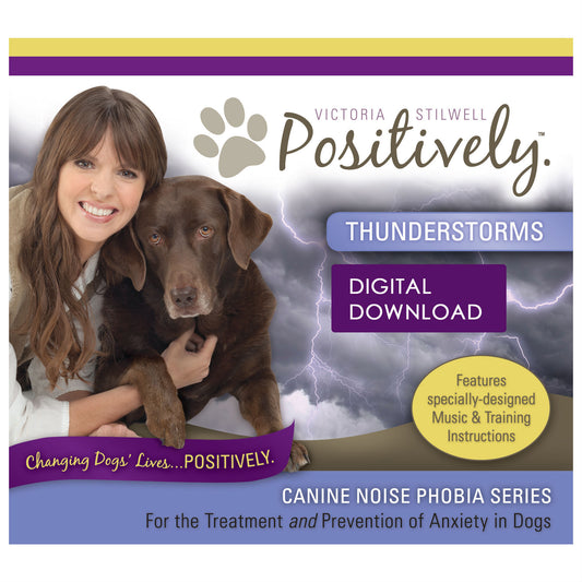 Thunderstorms Download - Canine Noise Phobia Series