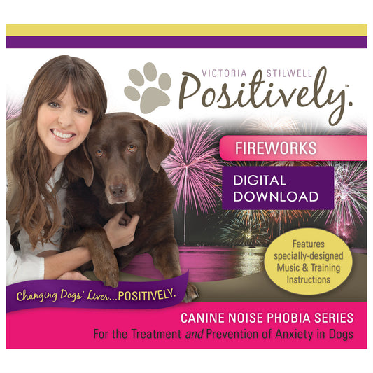 Fireworks Download - Canine Noise Phobia Series