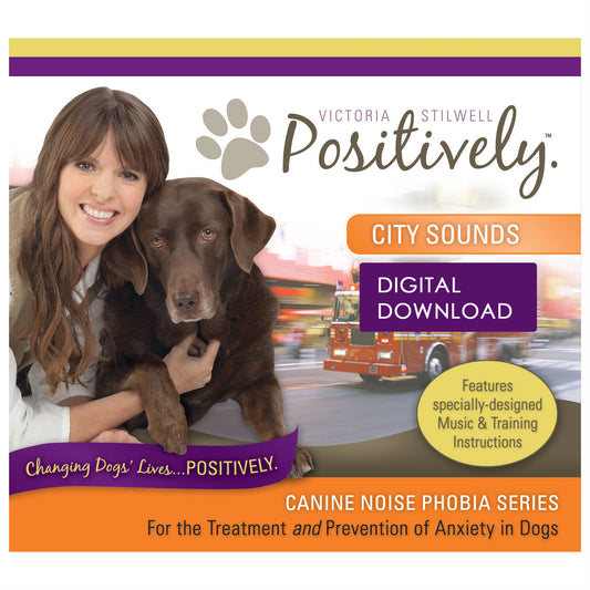 City Sounds Download - Canine Noise Phobia Series
