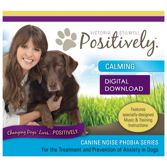 Calming Download - Canine Noise Phobia Series
