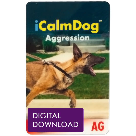 Aggression Download